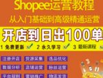shopee运营教程:从入门基础到高级精通,开店到日出100单(全套课程)-网创指引人