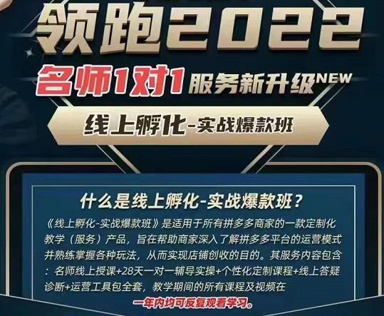 牛气学堂老陶电商【第9期】,拼多多名师线上领跑28天,线上孵化-实战爆款班
