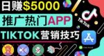 无需露脸,无需录音,无需投资,轻松上传短视频,利用TIKTOK赚钱,最高日入5000美元-网创指引人