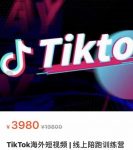 TikTok海外抖音短视频线上陪跑训练营，玩赚Tiktok少走弯路-网创指引人