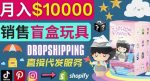 Dropshipping+Shopify推广玩具盲盒赚钱:每单利润率30%,月赚1万美元以上-网创指引人