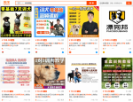 低成本宠物项目思路，单天300-500副业收入，适合所有人放大操作！-网创指引人