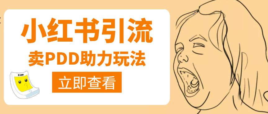 利用小红书卖拼多多助力,日赚100+,顺便还能引个流【视频课程】