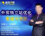 叶建阳老师·外贸独立站优化基础与进阶,外贸独立站SEO入门到精通-网创指引人