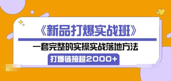 《新品打爆实战班》一套完整的实操实战落地方法,打爆链接超2000+(38节课)