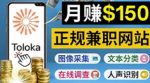正规网络兼职赚钱平台Toloka,利用业余时间月赚150美元-网创指引人
