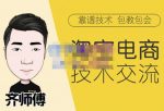 齐师傅电商·淘宝电商技术VIP,全网最先进的技术和玩法,价值1599元-网创指引人
