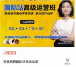 阿里巴巴国际站高级运营班,让最懂国际站的人,带你掘金跨境批发平台-网创指引人