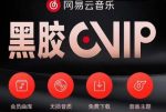 网易云音乐撸黑胶年卡及变现方法，收益可无限放大-网创指引人