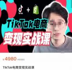 TikTok电商学长Ethan·TikTok电商变现实战课，TikTok运营+Shopify独立站运营+TikTok广告投放-网创指引人