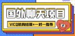 外卖收费998的国外聊天项目,打字一天3-4美金轻轻松松-网创指引人