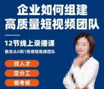企业如何组建高质量视频团队,12节课教你从0到1搭建短视频团队-网创指引人