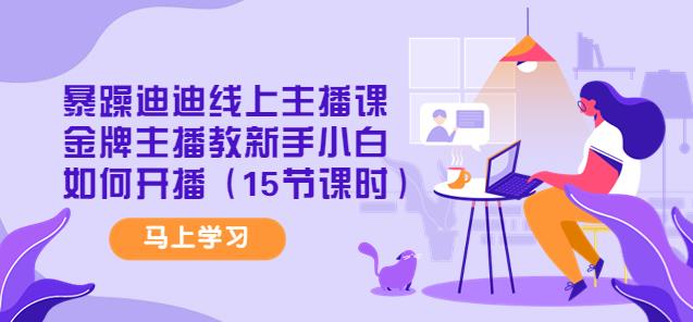 暴躁迪迪线上主播课,金牌主播教新手小白如何开播(15节课时)