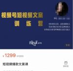 故里视频号短视频文案训练营,0基础小白如何建立视频号,上热门,能卖货-网创指引人