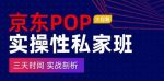 京东POP实操性私家班——大促篇,三天时间,实战剖析-原价4980-网创指引人