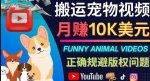 搬运TIKTOK视频到YouTube,并进行二次创作,月赚1万美元以上-网创指引人