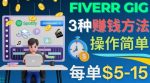 每5分钟赚5美元,日赚100美元,3种简单的Fiverr赚钱技巧-网创指引人