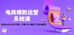电商爆款运营系统课:迎接未来10年红利期,拆解100+爆款产品实操案例-网创指引人