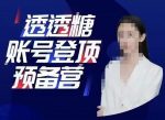 透透糖账号登顶预备营,高手账号打造密码,普通人学会做抖音的必学课程-网创指引人