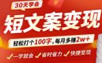 30天学会短文案变现,轻松打个100字,每月多赚2w+!-网创指引人