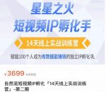 瑶瑶·自然流短视频IP孵化第二期,14天线上实战训练营,赋能100个人成为有数据能赚钱的独立IP孵化手-网创指引人