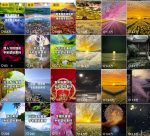 图片搬运小副业思路,简单操作日入300+,实操与变现玩法无私分享给你!-网创指引人