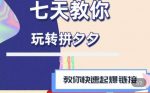 拼多多快速起爆链接思路1.0课程,七天教你玩转拼夕夕,教你快速起爆链接-网创指引人