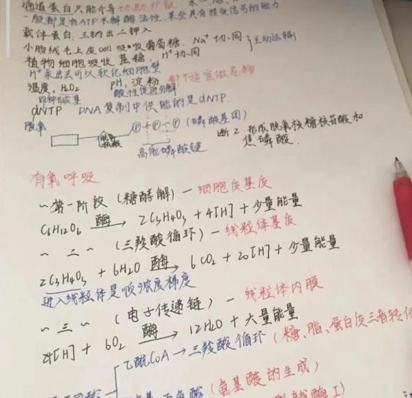 日搞300+,空手套白狼!