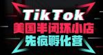 疯人院·TikTok美国半闭环小店孵化营，抢占TikTok美国蓝海市场，开店、运营、带货、投流全实操-网创指引人