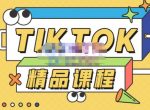 电商孵化中心·TikTok精品课程,教你玩转海外抖音,低成本创业,带您从0开始玩转TikTok-网创指引人