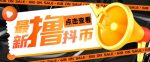外面收费598的最新pdd无限白嫖抖币项目揭秘，简单暴利【仅揭秘】-网创指引人