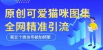 黑科技纯原创可爱猫咪图片,全网精准引流,实操5个VX号被加频繁-网创指引人