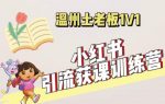 小红书1对1引流获客训练营:账号、内容、引流、成交(价值3999元)-网创指引人