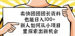卖快团团团长资料也能日入100+新人如何从小项目里探索出新机会-网创指引人