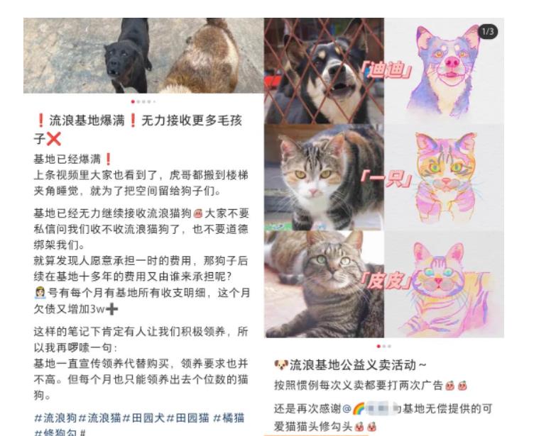 小红书蓝海类赛道:小动物打赏与购买变现副业项目,一条龙玩法分享给你!