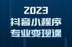 2023年抖音小程序变现保姆级教程,0粉丝新号,无需实名,3天起号,第1条视频就有收入-网创指引人