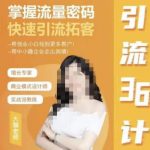 大猫·引流36计,掌握流量密码,快速引流拓客,帮创业小白找到更多客户,帮中小微企业走出困境-网创指引人