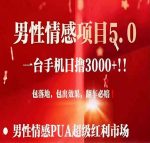 男性情感变现暴力项目,一台手机单号最高日收益3000+,当天变现-网创指引人