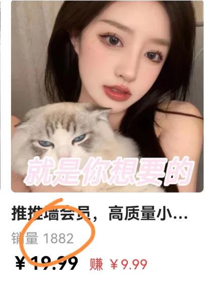 外面收费299的最全扩列变现项目课程,轻松引流暴力变现