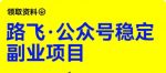 路飞·公众号稳定副业项目，你只要无脑去推广，粉丝和收入，自然就来了-网创指引人