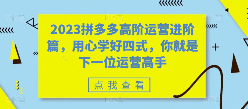 2023拼多多高阶运营进阶篇,用心学好四式,你就是下一位运营高手