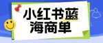 价值2980的小红书商单项目暴力起号玩法,一单收益200-300(可批量放大)-网创指引人