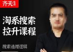 齐天电商·淘系搜索提升课程,搜索递增标准化,动销标准化流程-网创指引人