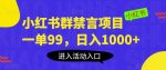 小红书群禁言项目,一单99,日入1000+【揭秘】-网创指引人