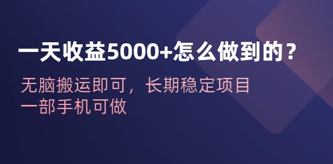 一天收益5000+怎么做到的?无脑搬运即可,长期稳定项目,一部手机可做【揭秘】