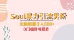 Soul暴力引流男粉玩法,无脑粗暴日入500+,0门槛即可操作【揭秘】-网创指引人