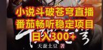 小说斗破苍穹直播,番茄畅听日入300+稳定项目【揭秘】-网创指引人