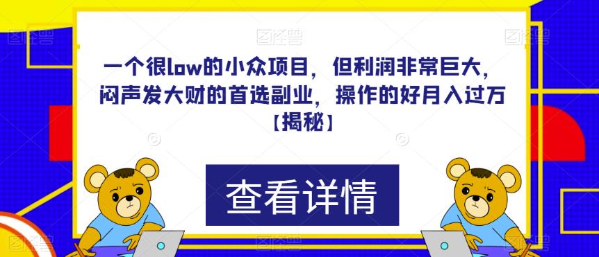 一个很low的小众项目,但利润非常巨大,闷声发大财的首选副业,操作的好月入过万【揭秘】