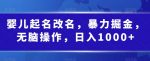 婴儿起名改名,暴力掘金,无脑操作,日入1000+【揭秘】-网创指引人