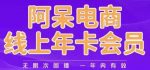 阿呆电商线上年会员,阿呆电商干货分享(更新中)-网创指引人